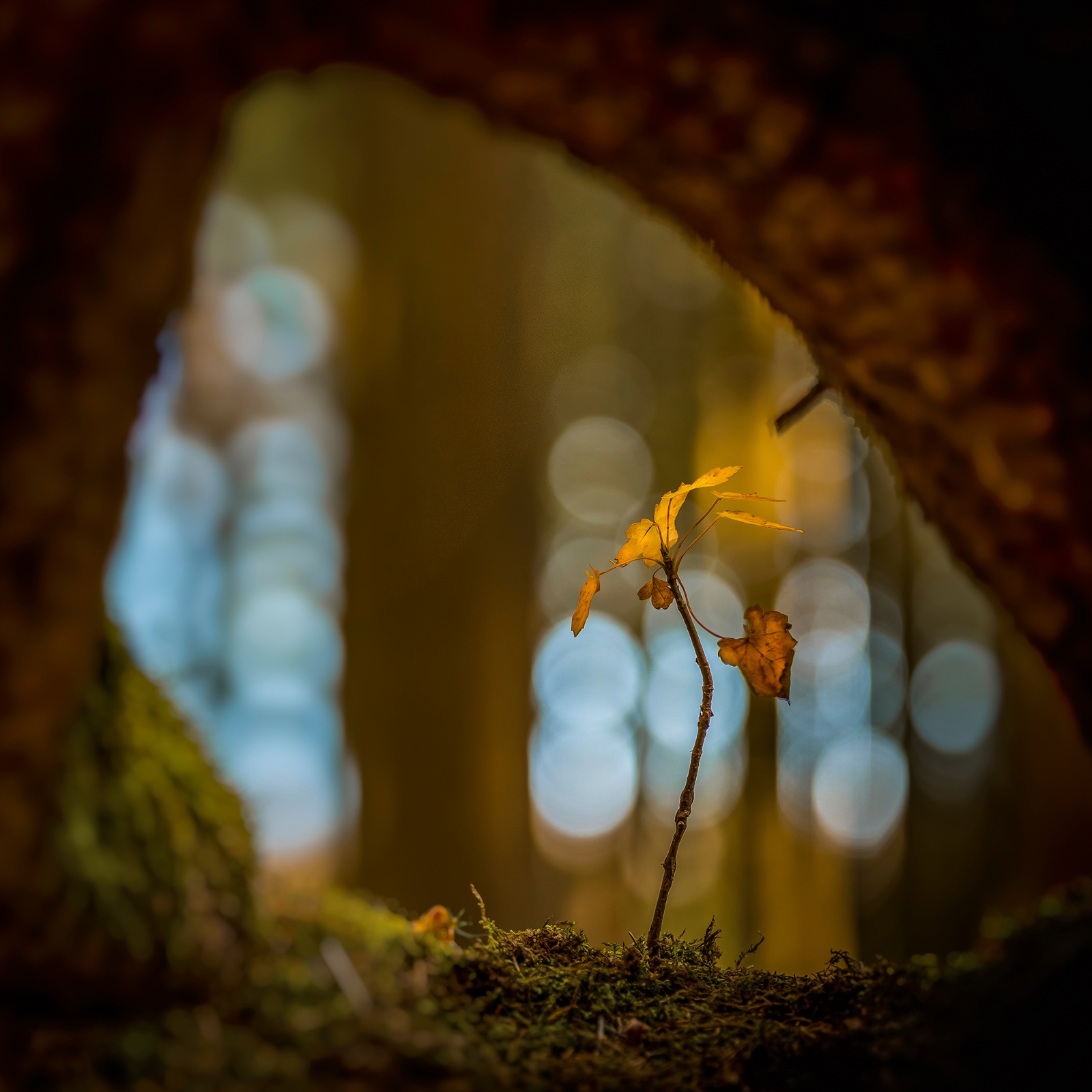 Platz 2 Conny Kleiner